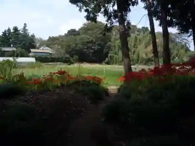 駒形神社(千葉県)