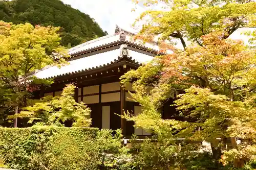 常寂光寺(京都府)