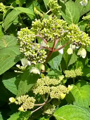霊源院(京都府)