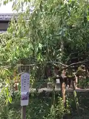 源九郎稲荷神社の自然