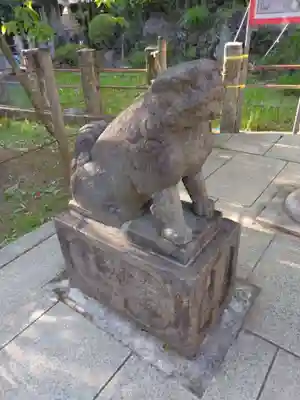 鳩森八幡神社の狛犬