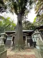 大木戸八幡神社(千葉県)