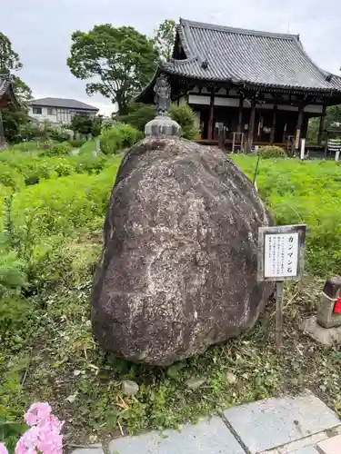 般若寺 ❁﻿コスモス寺❁(奈良県)