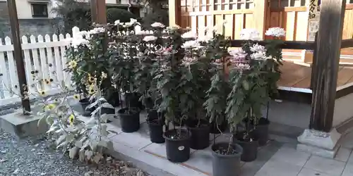 久々知須佐男神社(兵庫県)