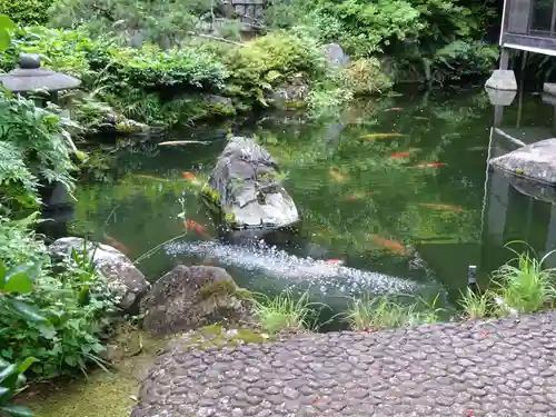 貴雲寺の庭園