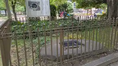 天下茶屋公園 御神木(大阪府)