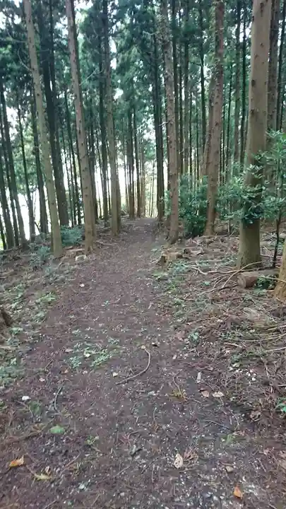 尾崎神社の周辺