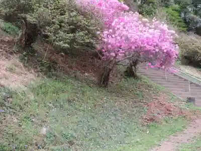 宝登山神社奥宮(埼玉県)