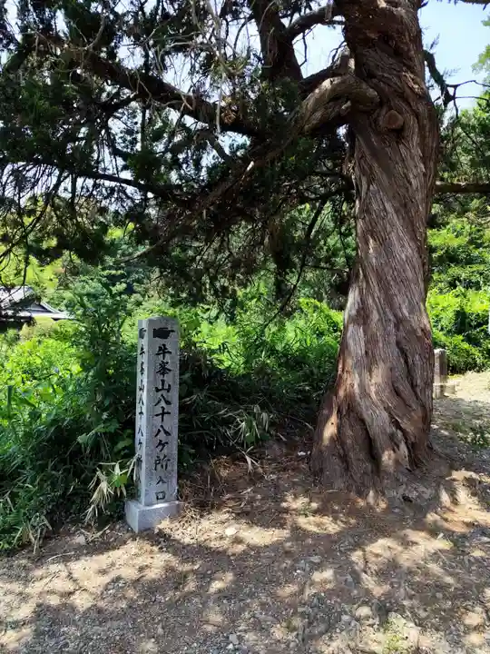 浄土寺(愛媛県)