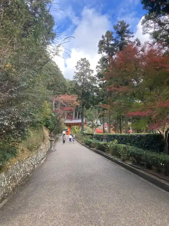 三室戸寺(京都府)
