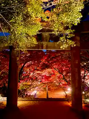 宝満宮竈門神社(福岡県)