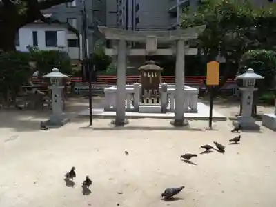 天津神社の動物