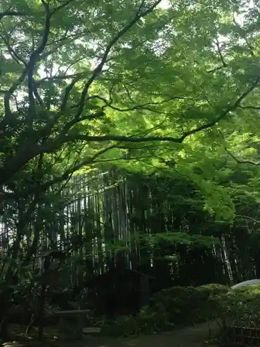 大正寺の庭園