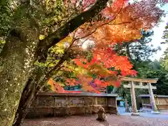 丹生川上神社（下社）(奈良県)