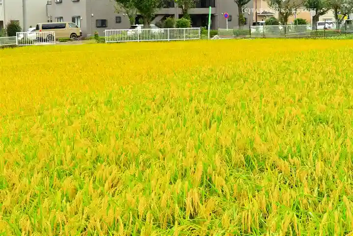 瀧神社(東京都)