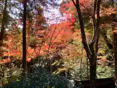 大矢田神社(岐阜県)