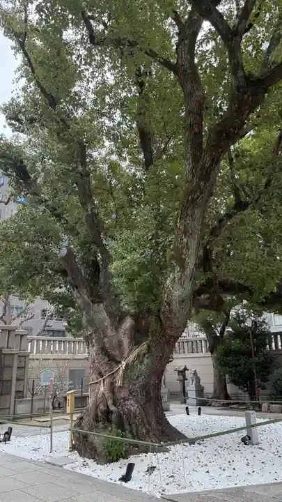 難波神社(大阪府)