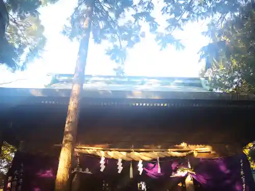 新溝神社の本殿