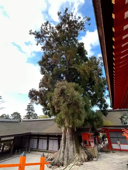 春日大社(奈良県)