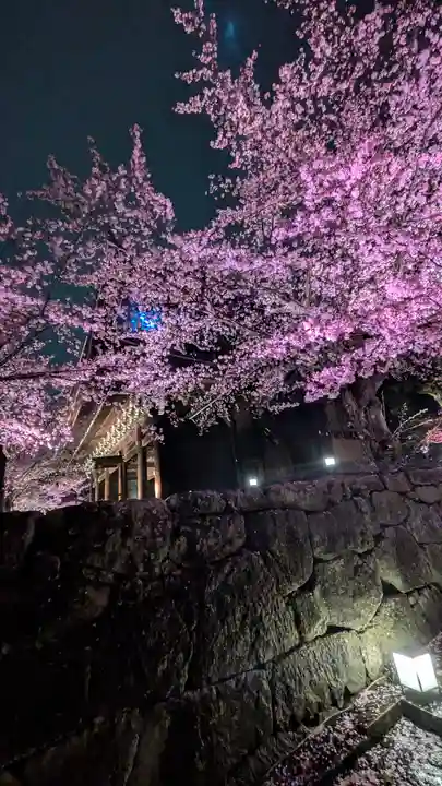 知恩院(京都府)