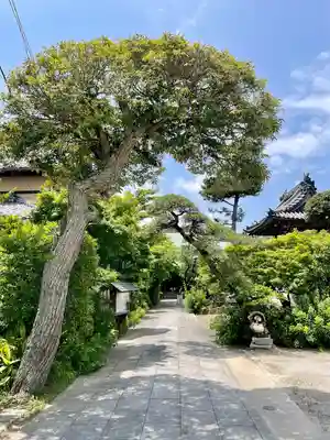 證誠寺(千葉県)