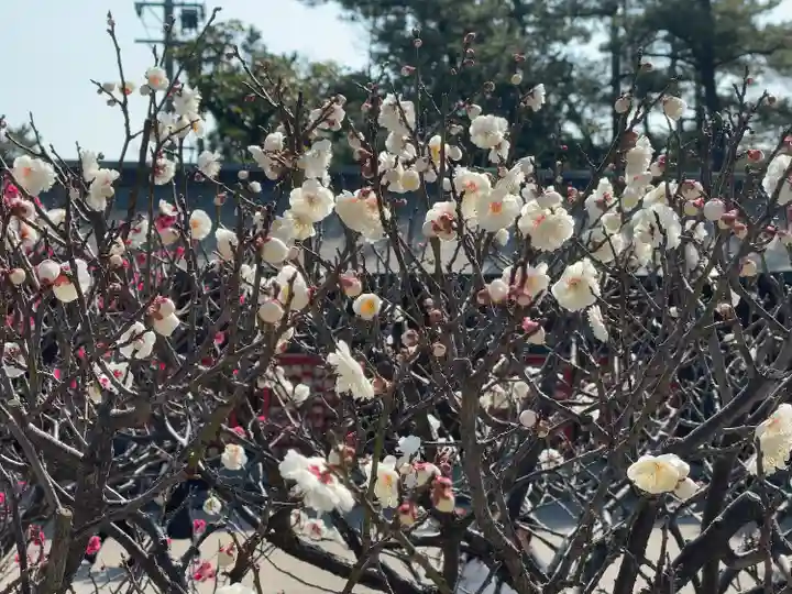 白山神社(新潟県)