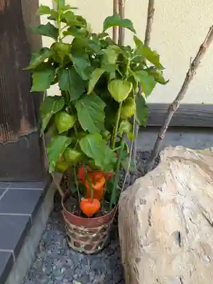 西野神社(北海道)