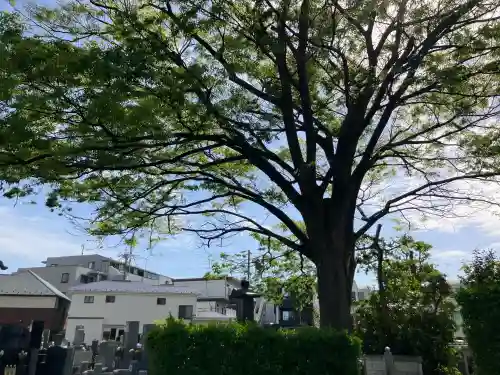 了善寺の{uncategorized: "未分類", other: "その他", undefined: "問題あり", building: "その他建物", grave: "お墓", sacred_gate: "鳥居", guardian: "狛犬", statue: "像", buddha: "仏像", history: "歴史", nature: "自然", garden: "庭園", animal: "動物", pagoda: "塔", temizu: "手水舎", mountain_gate: "山門・神門", sanctuary: "本殿・本堂", subordinate: "末社・摂社", art: "芸術", scenery: "景色", jizo: "地蔵", ema: "絵馬", goshuin: "御朱印", omikuji: "おみくじ", items: "授与品その他", amulet: "お守り", goshuincho: "御朱印帳", eats: "食事", festival: "お祭り", votive_dance: "神楽", shichigosan: "七五三参", wedding: "結婚式", experience: "体験その他", initially: "初詣", around: "周辺", anti_infection: "感染症対策"}