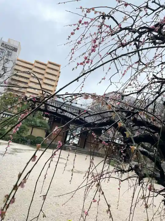 東長寺(福岡県)