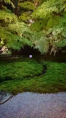 光明寺瑠璃光院の庭園