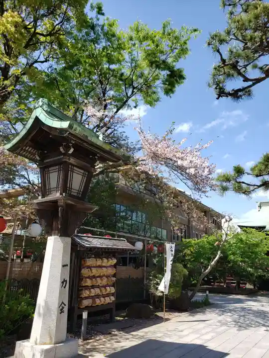 桜神宮(東京都)