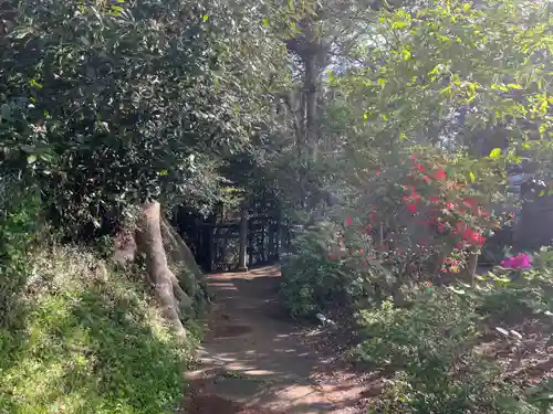 白山神社(千葉県)