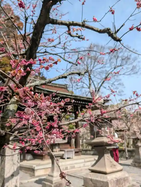城南宮の{uncategorized: "未分類", other: "その他", undefined: "問題あり", building: "その他建物", grave: "お墓", sacred_gate: "鳥居", guardian: "狛犬", statue: "像", buddha: "仏像", history: "歴史", nature: "自然", garden: "庭園", animal: "動物", pagoda: "塔", temizu: "手水舎", mountain_gate: "山門・神門", sanctuary: "本殿・本堂", subordinate: "末社・摂社", art: "芸術", scenery: "景色", jizo: "地蔵", ema: "絵馬", goshuin: "御朱印", omikuji: "おみくじ", items: "授与品その他", amulet: "お守り", goshuincho: "御朱印帳", eats: "食事", festival: "お祭り", votive_dance: "神楽", shichigosan: "七五三参", wedding: "結婚式", experience: "体験その他", initially: "初詣", around: "周辺", anti_infection: "感染症対策"}