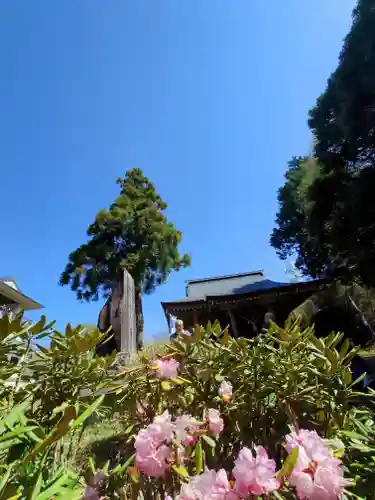 八溝嶺神社(茨城県)