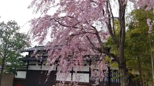 石像寺（釘抜地蔵）の景色