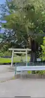高根白山神社の鳥居