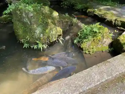 石山寺(滋賀県)