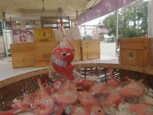浅草神社のおみくじ