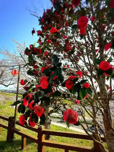 涌谷神社(宮城県)
