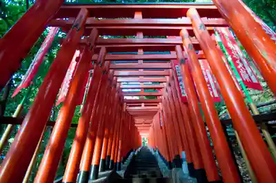 日枝神社の鳥居