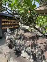 菅原天満宮(菅原神社)の狛犬