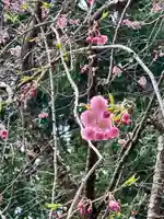 土津神社|こどもと出世の神さまの自然
