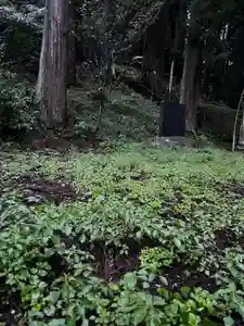 大宮温泉神社(栃木県)(2023年10月12日(木) 07時56分12秒投稿)