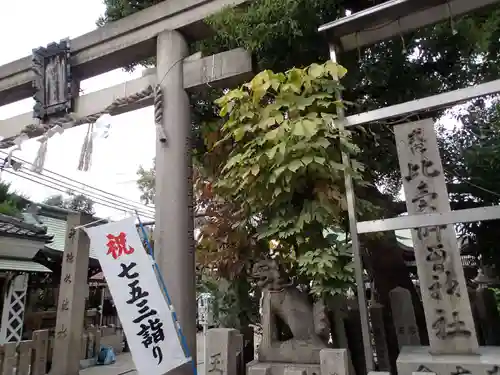 比賣許曾神社の鳥居