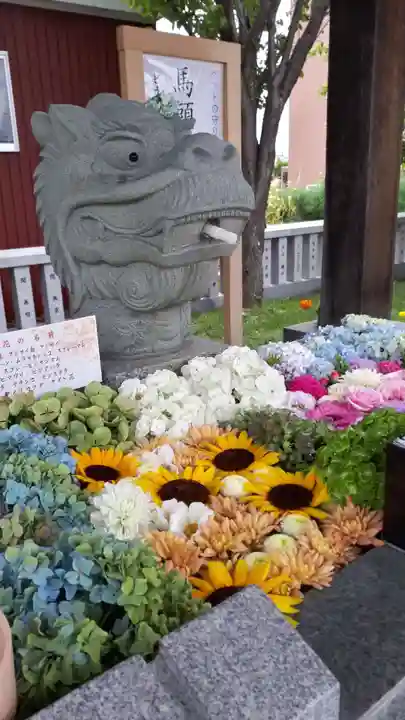 新川皇大神社の手水舎
