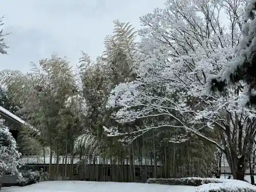 忍　諏訪神社・東照宮　の{uncategorized: "未分類", other: "その他", undefined: "問題あり", building: "その他建物", grave: "お墓", sacred_gate: "鳥居", guardian: "狛犬", statue: "像", buddha: "仏像", history: "歴史", nature: "自然", garden: "庭園", animal: "動物", pagoda: "塔", temizu: "手水舎", mountain_gate: "山門・神門", sanctuary: "本殿・本堂", subordinate: "末社・摂社", art: "芸術", scenery: "景色", jizo: "地蔵", ema: "絵馬", goshuin: "御朱印", omikuji: "おみくじ", items: "授与品その他", amulet: "お守り", goshuincho: "御朱印帳", eats: "食事", festival: "お祭り", votive_dance: "神楽", shichigosan: "七五三参", wedding: "結婚式", experience: "体験その他", initially: "初詣", around: "周辺", anti_infection: "感染症対策"}