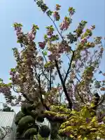 蟠龍寺(東京都)