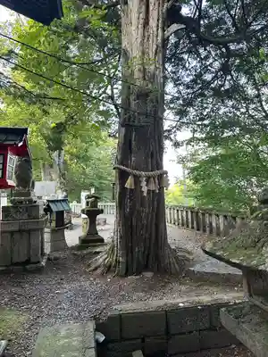 熊野皇大神社(長野県)