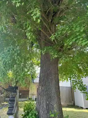 菊理姫像石神社(富山県)