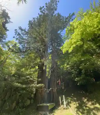 導観稲荷神社(京都府)